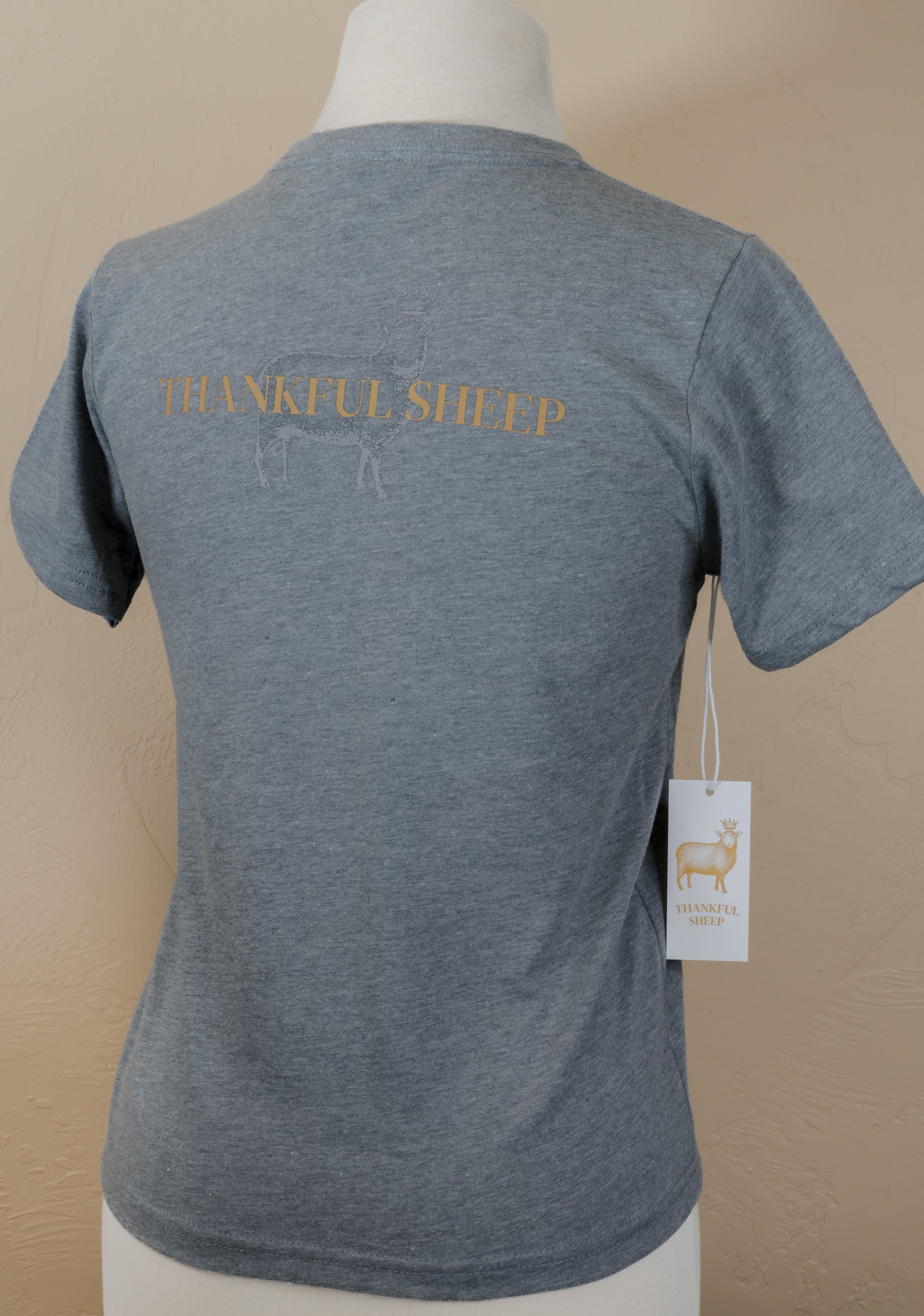 Youth Thankful Sheep T-Shirt Gray