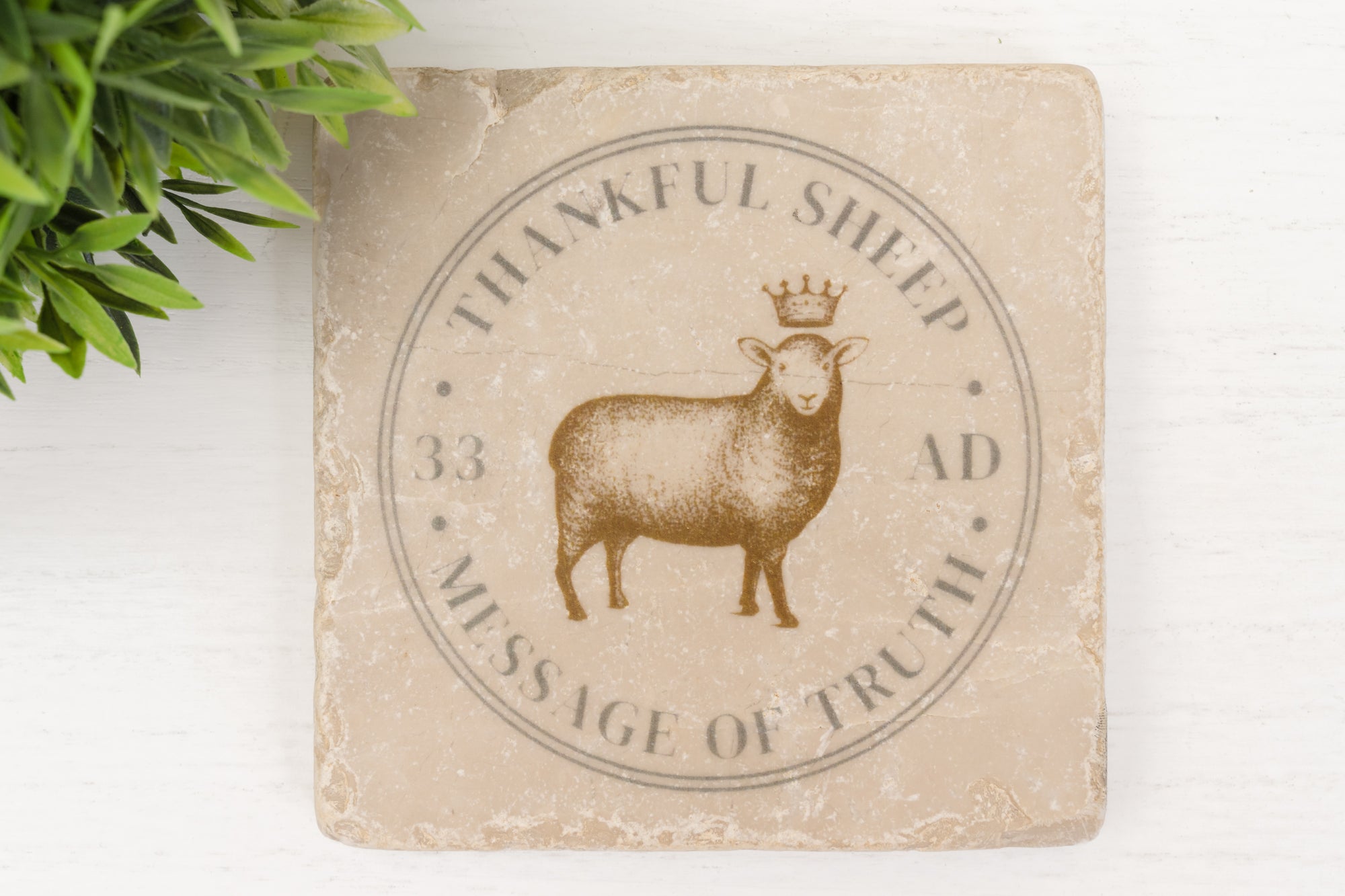 Thankful Sheep Message of Truth Stone Coaster