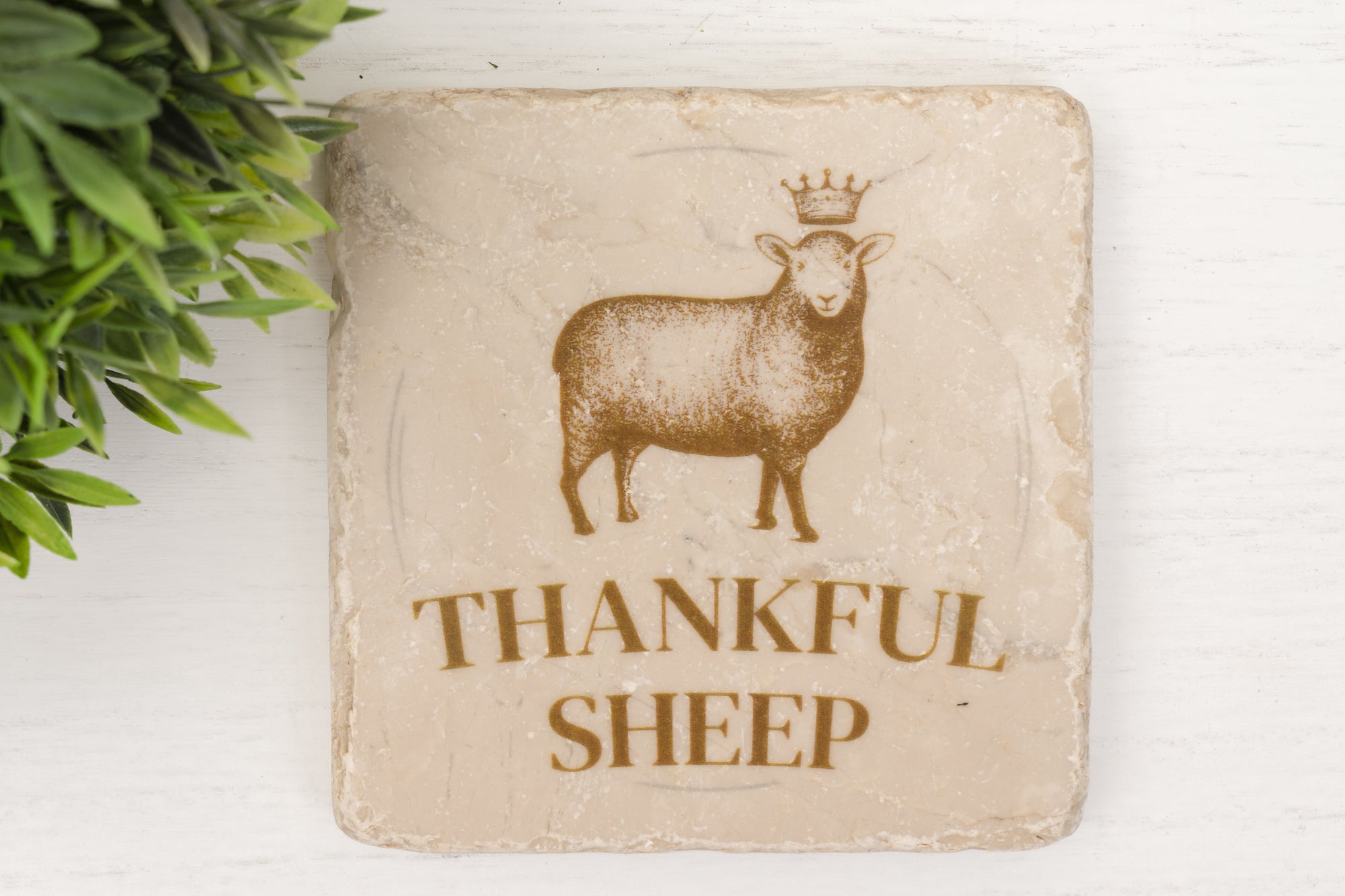 Thankful Sheep Logo Coaster