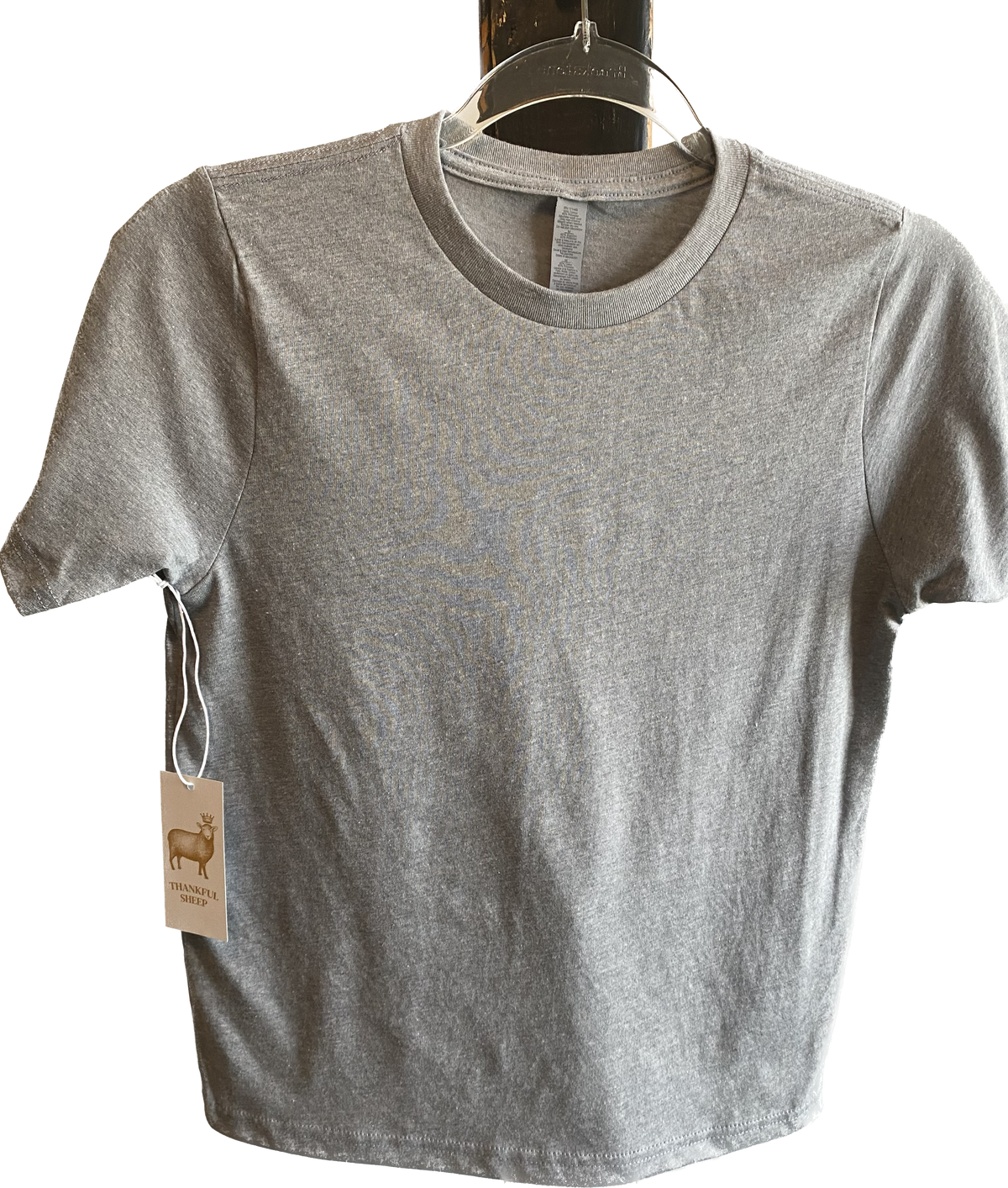 Youth Thankful Sheep T-Shirt Gray