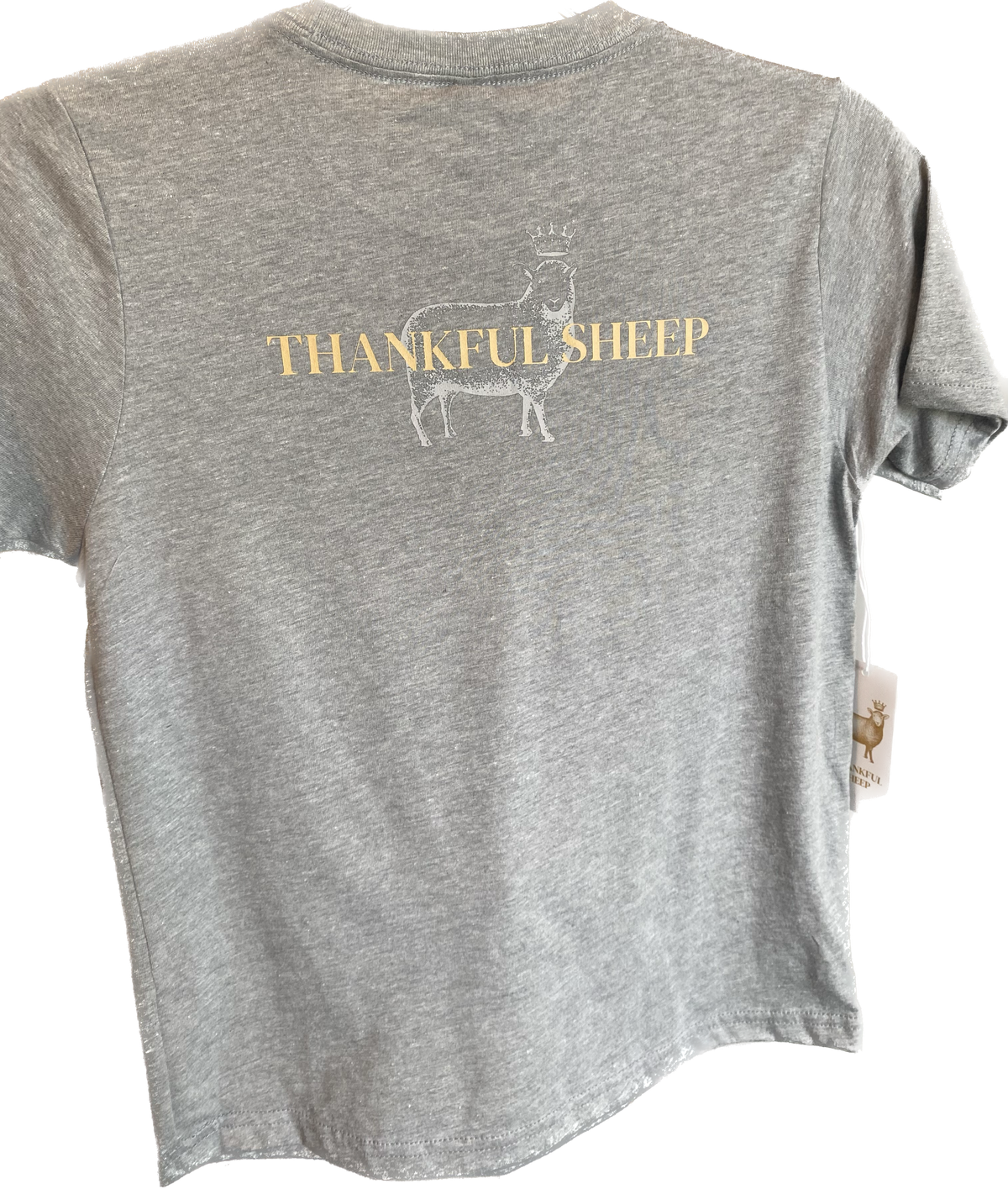 Youth Thankful Sheep T-Shirt Gray
