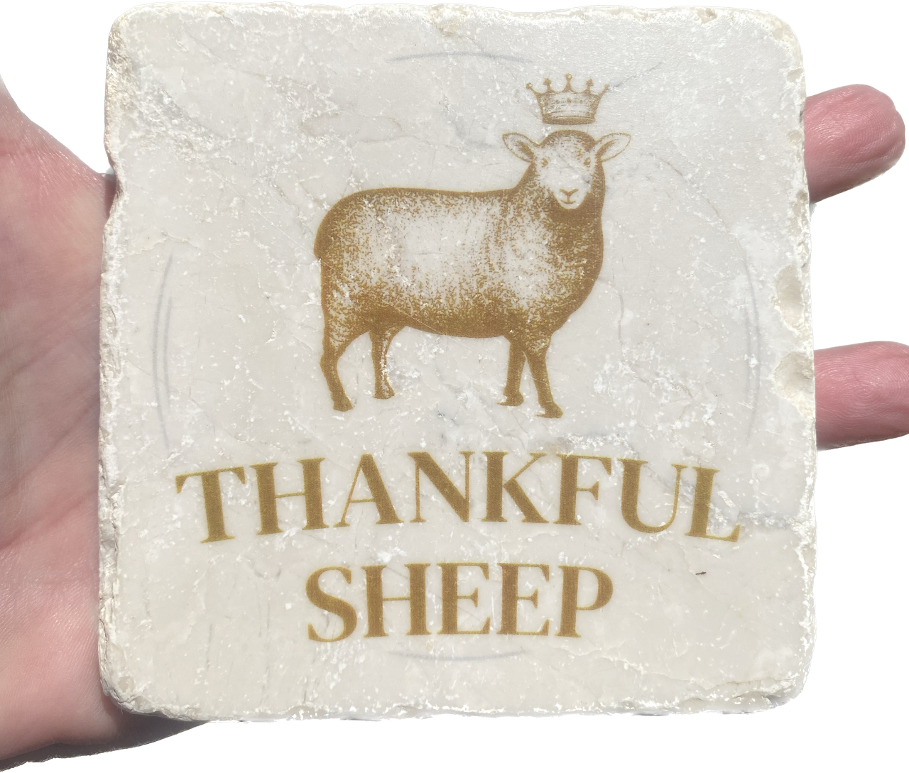 Thankful Sheep Logo Coaster