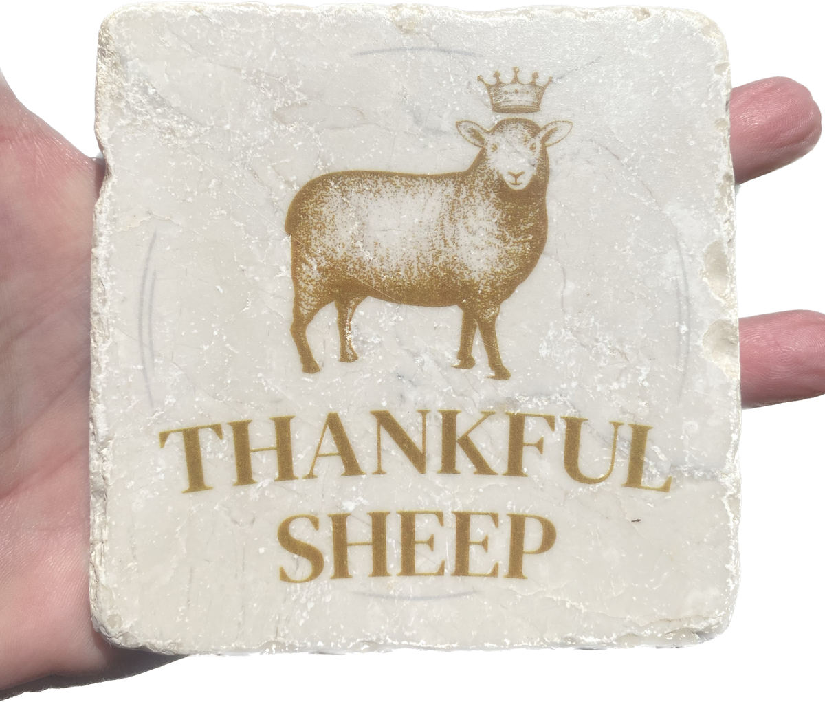 Thankful Sheep Logo Coaster