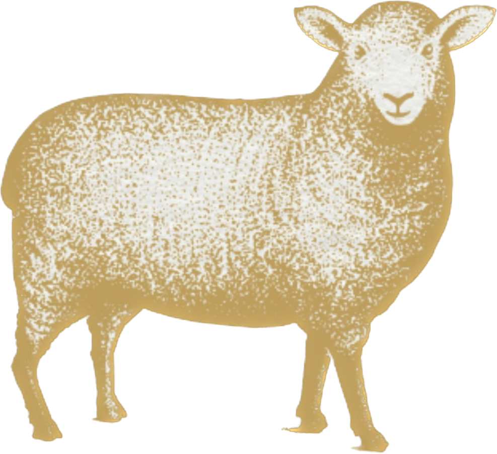 Thankful Sheep Love Heart Necklace