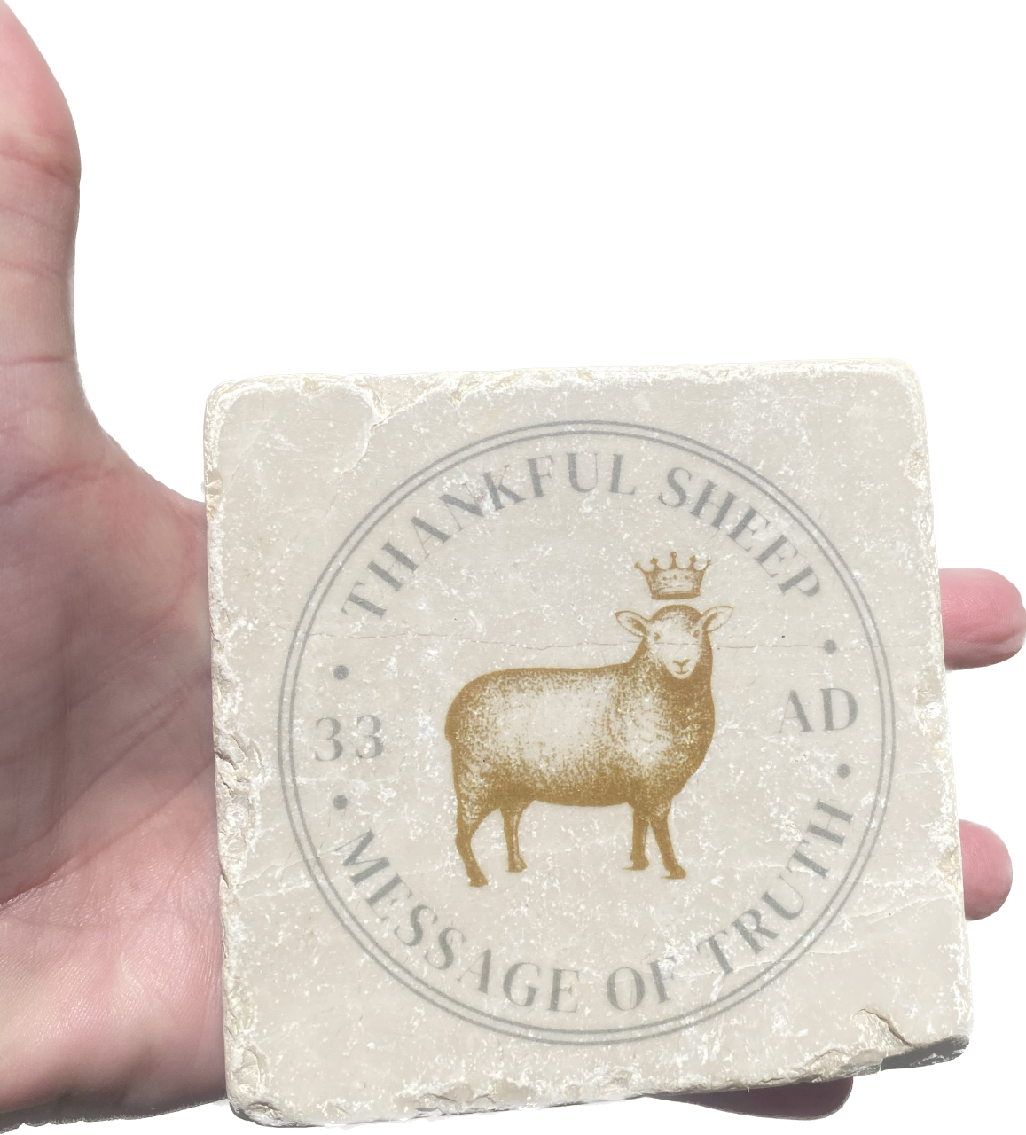 Thankful Sheep Message of Truth Stone Coaster