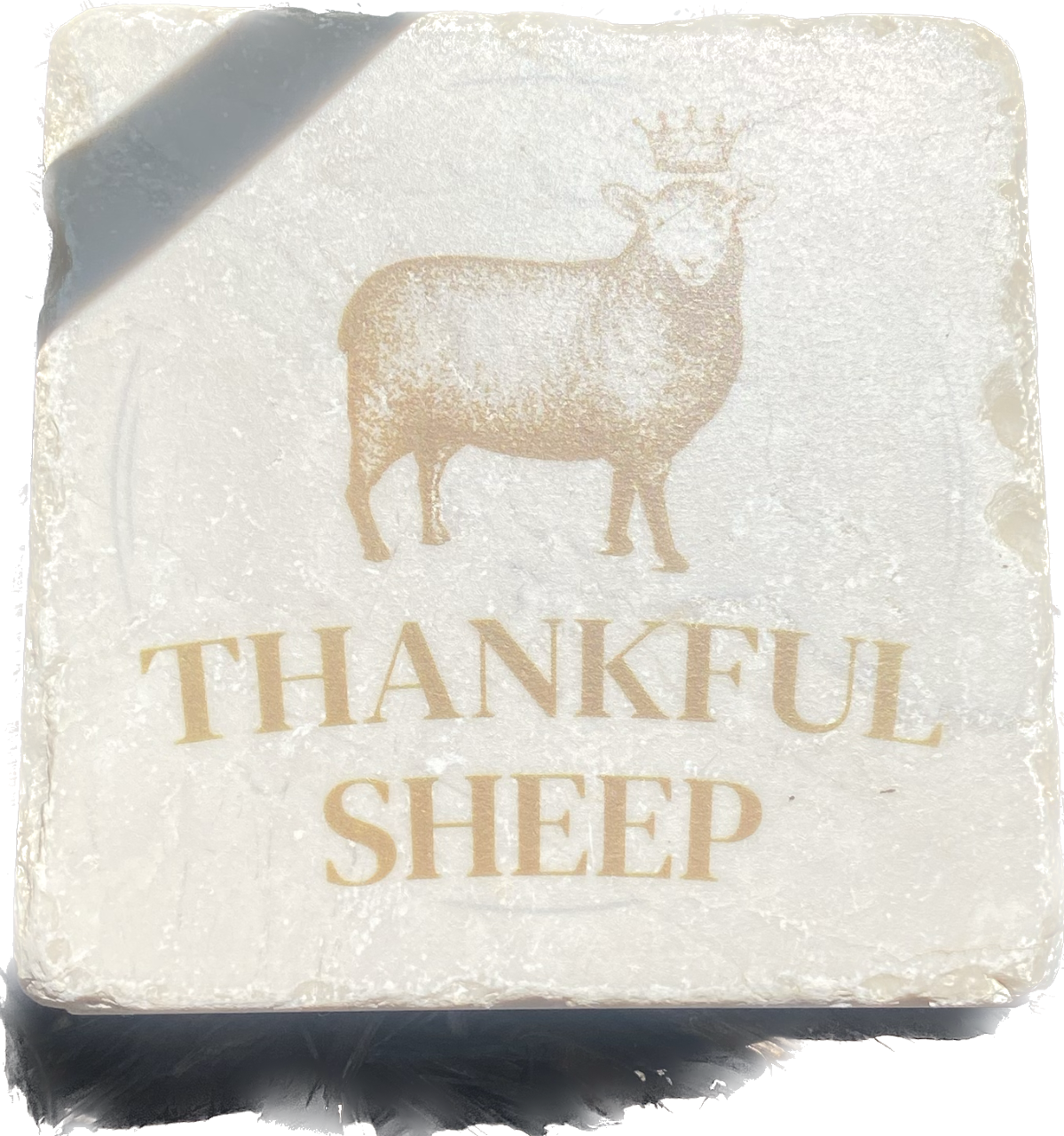 Thankful Sheep Logo Coaster